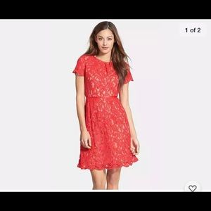 Adrianna Papell Red Lace Mini Dress